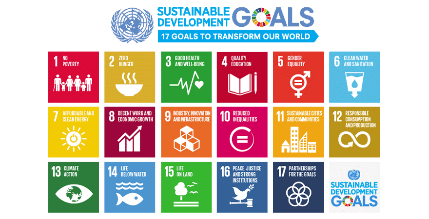 The United Nation's Sustainable Development Goals 