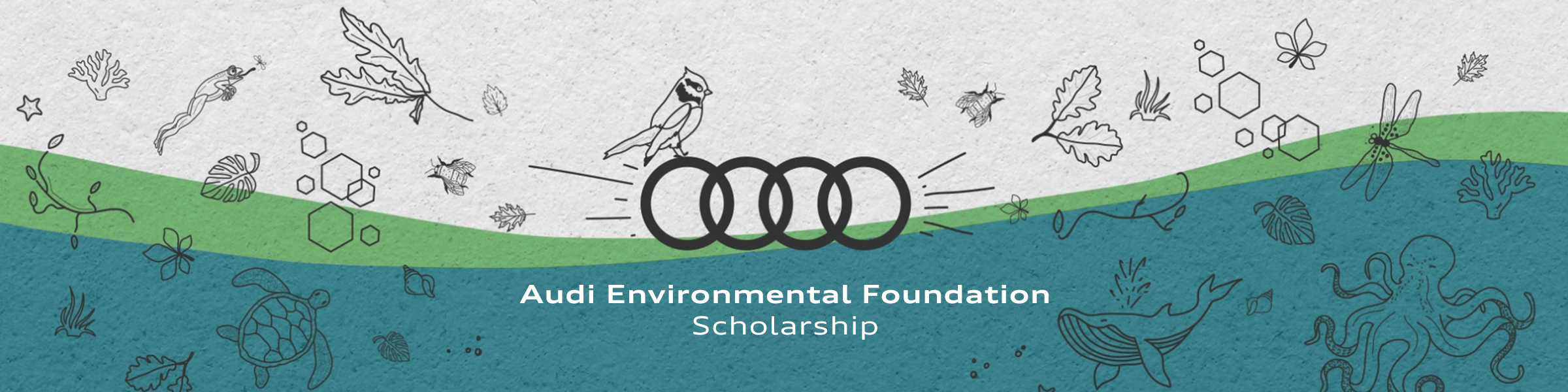 Audi-Scholarship-Graphic