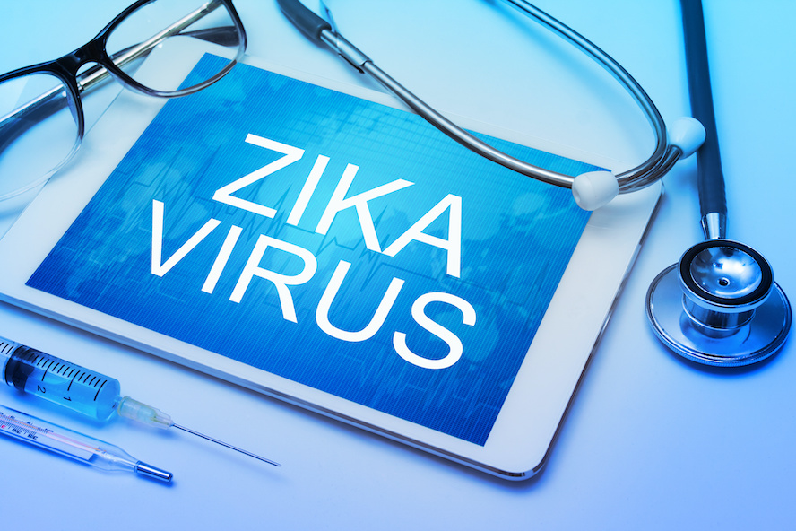 zika virus