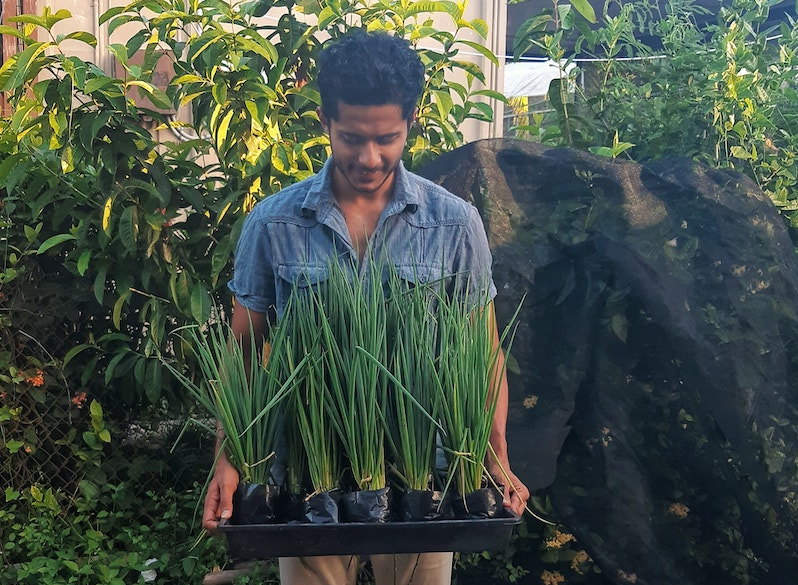 Smart Farms Fiji