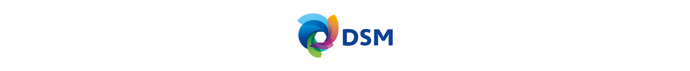 DSM logo