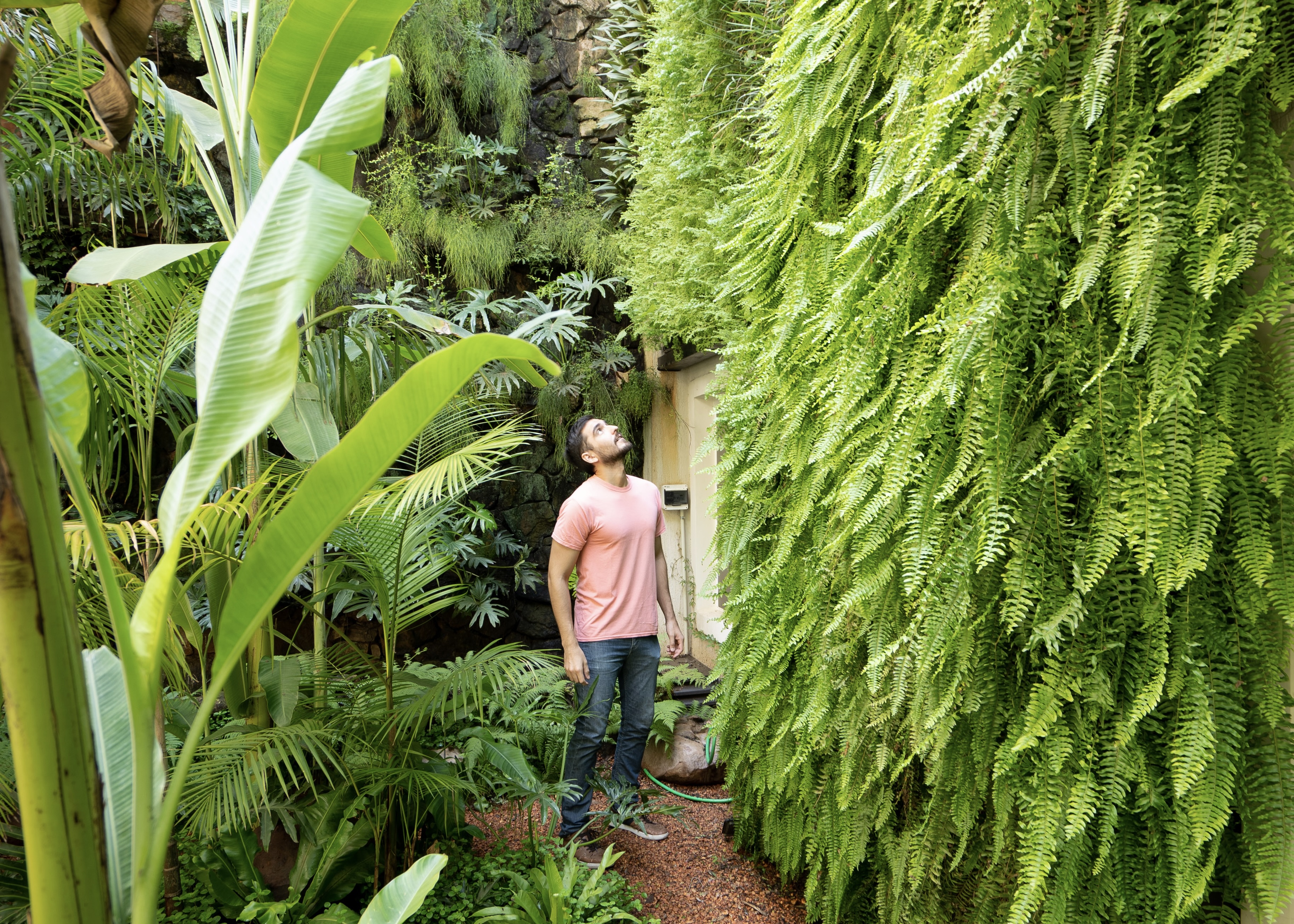 UpGreen Living Walls Project