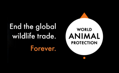 world animal protection