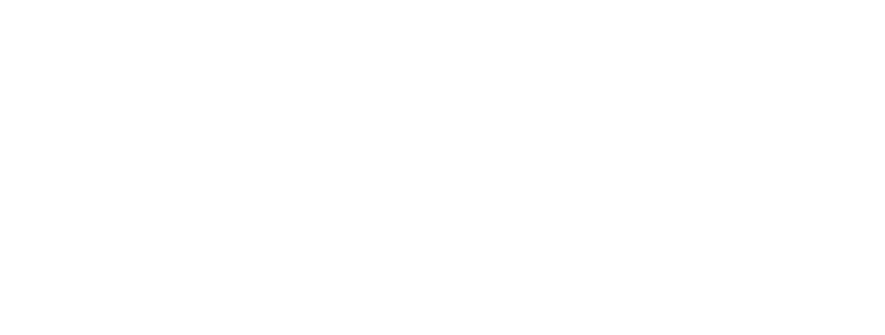 1.9 Graphic
