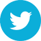 Twitter Blue Icon