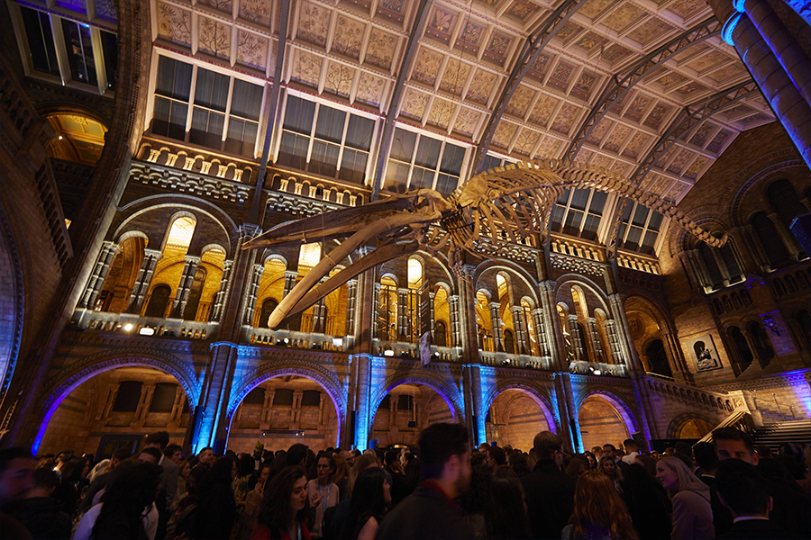 Natural History Museum