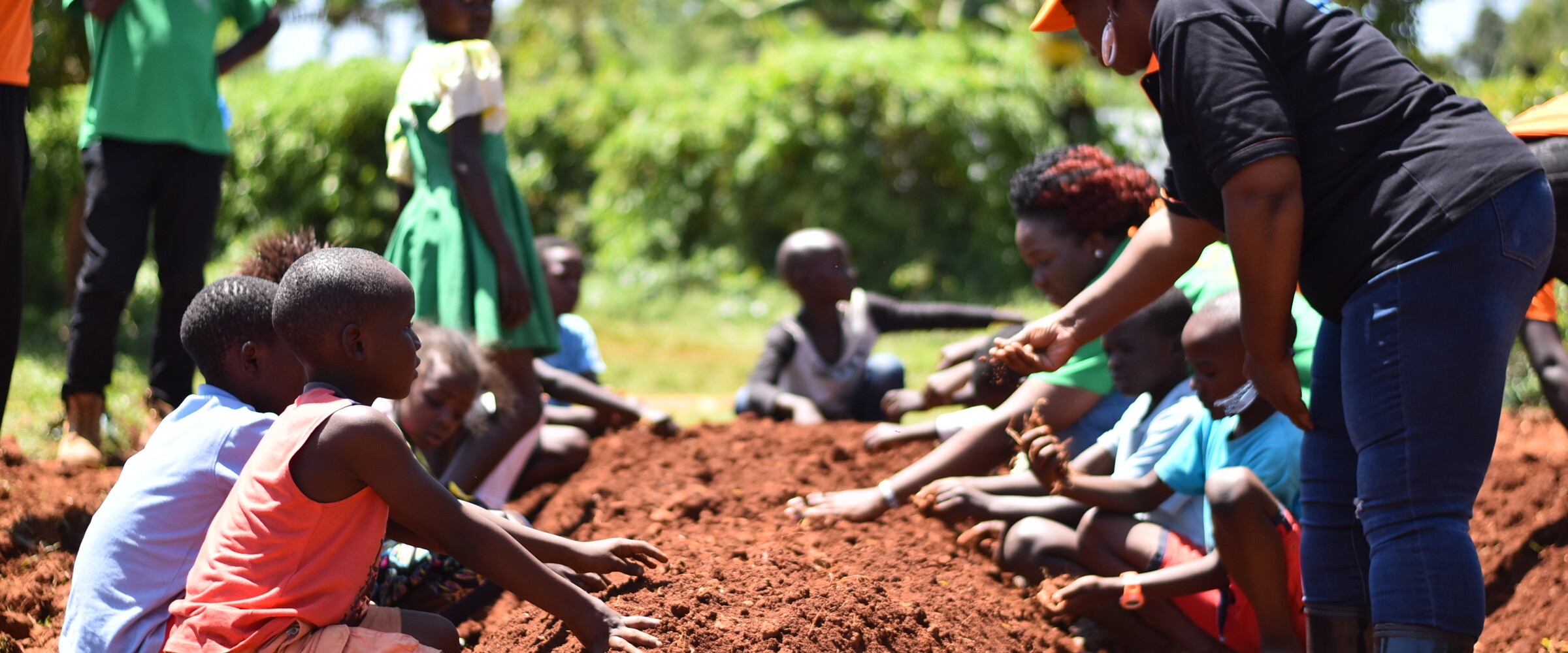 TransFarm Ventures Image