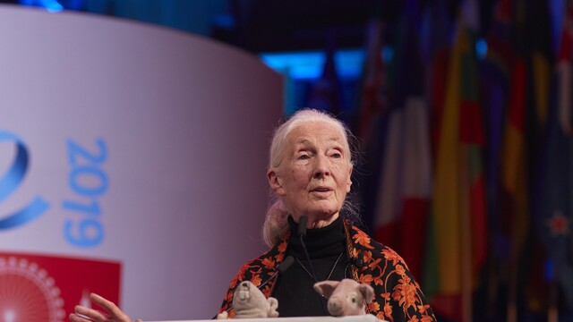 Dr Jane Goodall DBE