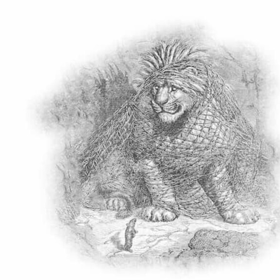 Pencil cartoon illustration of lion caught in fishing net, looking down at a mouse on the floor