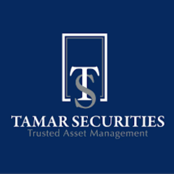 Tamar securities