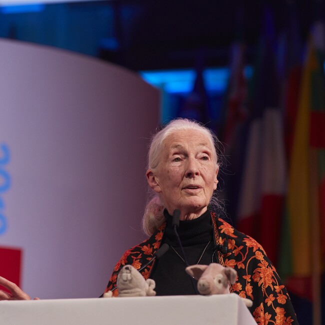 Dr Jane Goodall DBE