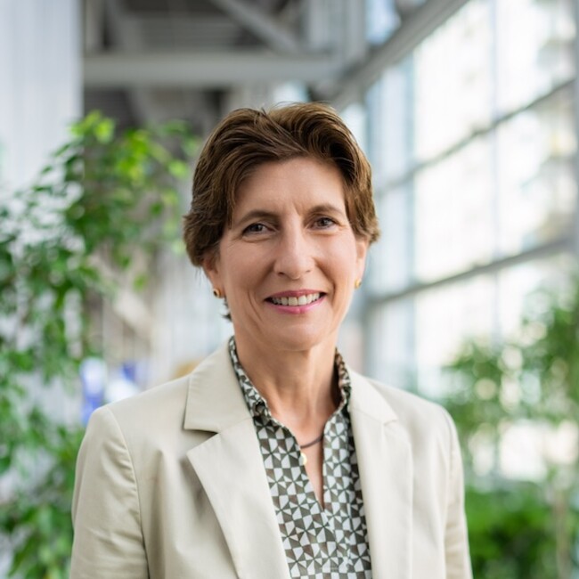 Ilka Horstmeier portrait profile photo