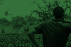 food system fellowship