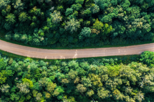 bp Net Zero Scholarship 2023