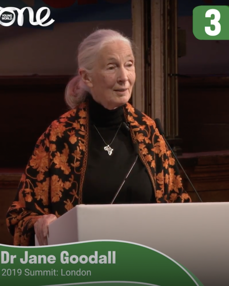 How Can Saving the Most Endangered Species on Earth Help Save the Planet? | Dr. Jane Goodall & Doutzen Kroes