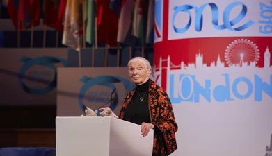 Jane Goodall