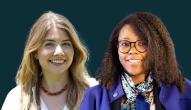 Interaction counsil plenary ambassadors