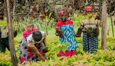A group of women harvest produce from a garden