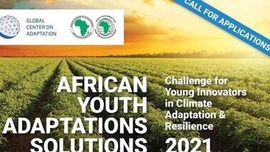 African Youth Adaptations Solutions thumbnail