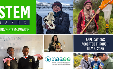 Image of Global E-STEM Awards