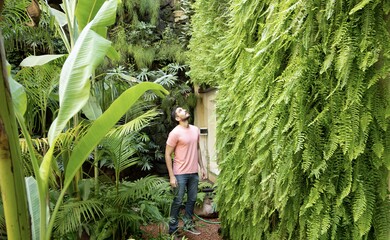 UpGreen Living Walls Project