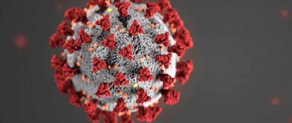 coronavirus