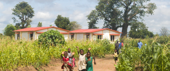 Nests Homes in Malawi 