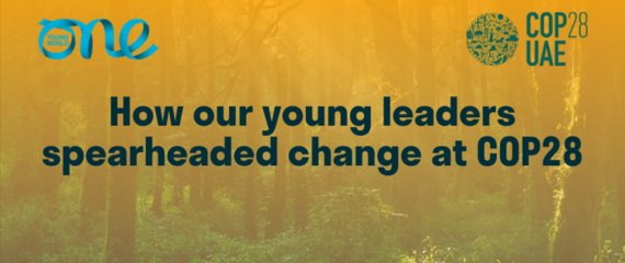 Forest background with an orange fade over the top and "how our young leaders spearheaded change at COP28" written in blue over the top.