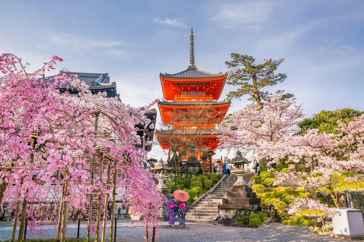 Tokyo view with cherry blossom 