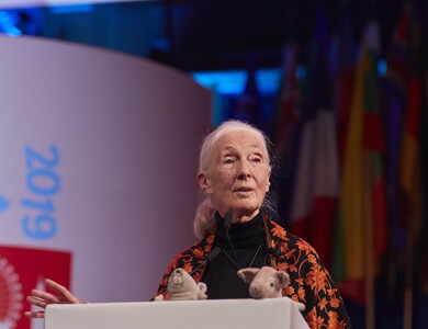 Dr Jane Goodall DBE