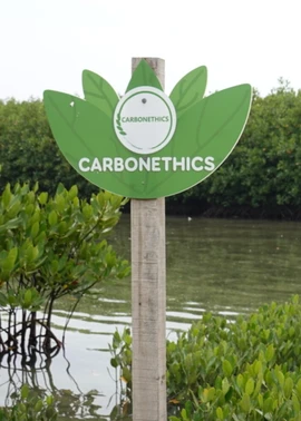 CarbonEthics