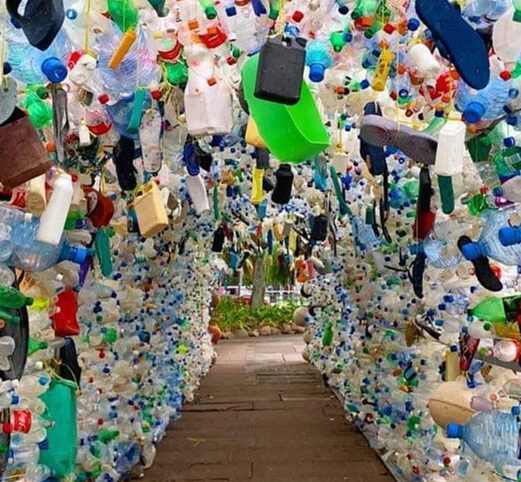 Karine Rassool, Zara Pardiwalla