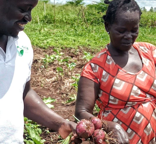 Omia Agribusiness Development Group Ltd