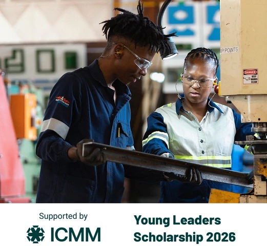 ICMM Young Leaders 