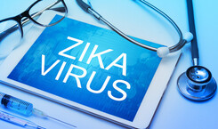 zika virus